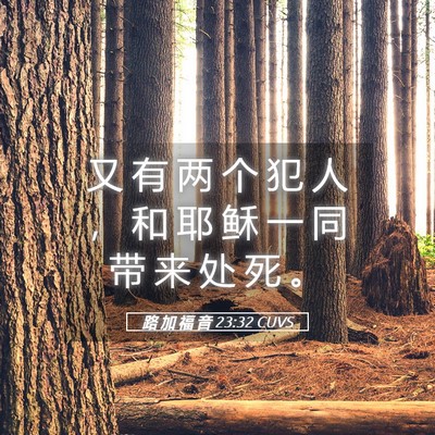 Picture 05 - 路 加 福 音 23:32 CUVS - 又 有 两 个 犯 人 ， 和 耶 稣 一 同 - Bible Verse Picture