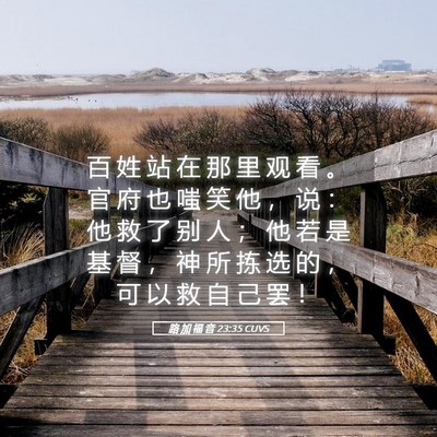 Picture 05 - 路 加 福 音 23:35 CUVS - 百 姓 站 在 那 里 观 看 。 官 府 也 - Bible Verse Picture