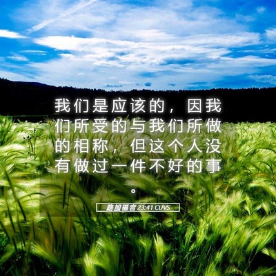 Picture 05 - 路 加 福 音 23:41 CUVS - 我 们 是 应 该 的 ， 因 我 们 所 受 - Bible Verse Picture