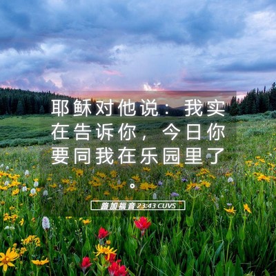 Picture 05 - 路 加 福 音 23:43 CUVS - 耶 稣 对 他 说 ： 我 实 在 告 诉 你 - Bible Verse Picture