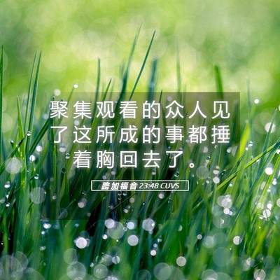 Picture 05 - 路 加 福 音 23:48 CUVS - 聚 集 观 看 的 众 人 见 了 这 所 成 - Bible Verse Picture