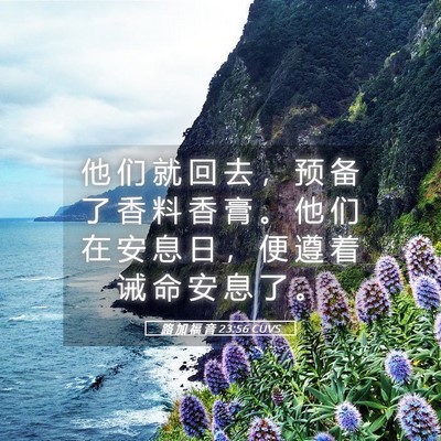 Picture 05 - 路 加 福 音 23:56 CUVS - 他 们 就 回 去 ， 预 备 了 香 料 香 - Bible Verse Picture