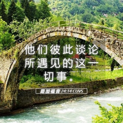 Picture 05 - 路 加 福 音 24:14 CUVS - 他 们 彼 此 谈 论 所 遇 见 的 这 一 - Bible Verse Picture
