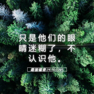 Picture 05 - 路 加 福 音 24:16 CUVS - 只 是 他 们 的 眼 睛 迷 糊 了 ， 不 - Bible Verse Picture