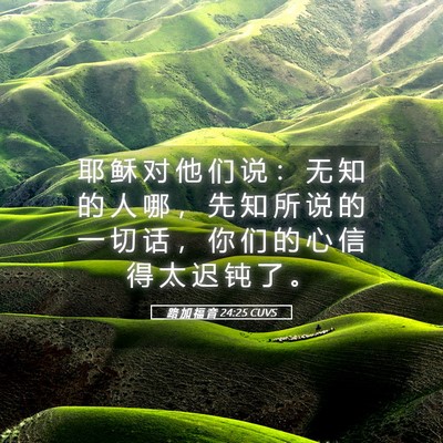 Picture 05 - 路 加 福 音 24:25 CUVS - 耶 稣 对 他 们 说 ： 无 知 的 人 哪 - Bible Verse Picture