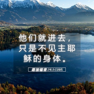 Picture 05 - 路 加 福 音 24:3 CUVS - 他 们 就 进 去 ， 只 是 不 见 主 耶 - Bible Verse Picture