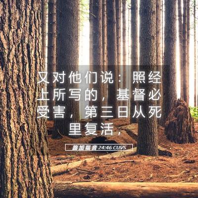 Picture 05 - 路 加 福 音 24:46 CUVS - 又 对 他 们 说 ： 照 经 上 所 写 的 - Bible Verse Picture