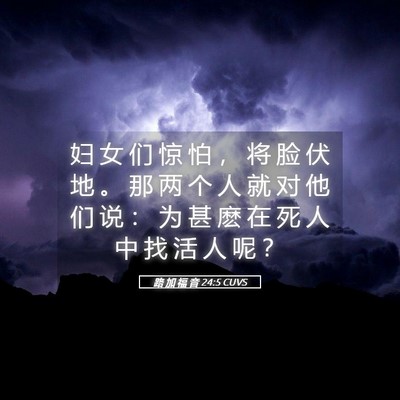 Picture 05 - 路 加 福 音 24:5 CUVS - 妇 女 们 惊 怕 ， 将 脸 伏 地 。 那 - Bible Verse Picture