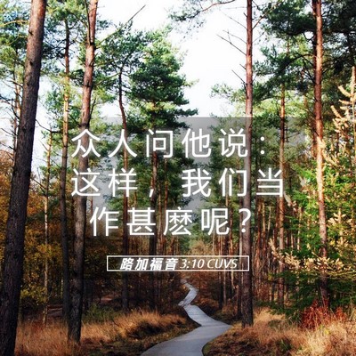 Picture 05 - 路 加 福 音 3:10 CUVS - 众 人 问 他 说 ： 这 样 ， 我 们 当 - Bible Verse Picture