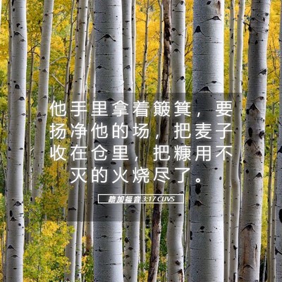 Picture 05 - 路 加 福 音 3:17 CUVS - 他 手 里 拿 着 簸 箕 ， 要 扬 净 他 - Bible Verse Picture