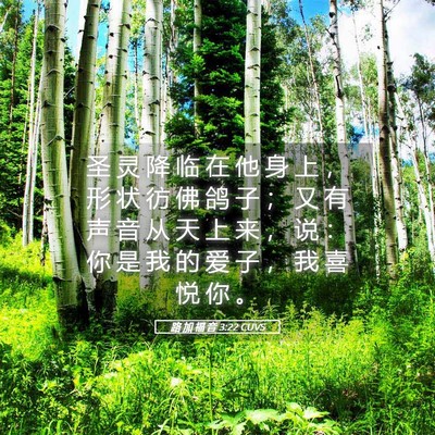 Picture 05 - 路 加 福 音 3:22 CUVS - 圣 灵 降 临 在 他 身 上 ， 形 状 彷 - Bible Verse Picture