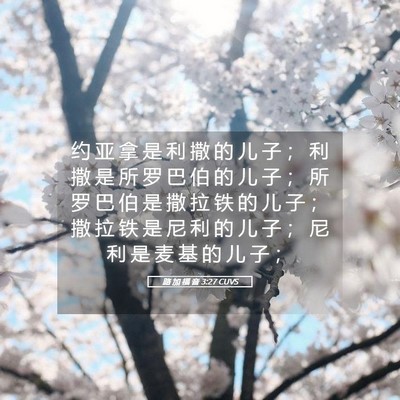 Picture 05 - 路 加 福 音 3:27 CUVS - 约 亚 拿 是 利 撒 的 儿 子 ； 利 撒 - Bible Verse Picture