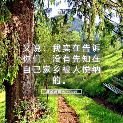 Picture 05 - 路 加 福 音 4:24 CUVS - 又 说 ： 我 实 在 告 诉 你 们 ， 没 - Bible Verse Picture