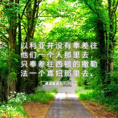Picture 05 - 路 加 福 音 4:26 CUVS - 以 利 亚 并 没 有 奉 差 往 他 们 一 - Bible Verse Picture