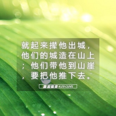 Picture 05 - 路 加 福 音 4:29 CUVS - 就 起 来 撵 他 出 城 ， 他 们 的 城 - Bible Verse Picture