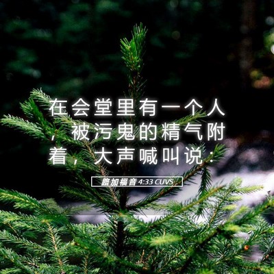 Picture 05 - 路 加 福 音 4:33 CUVS - 在 会 堂 里 有 一 个 人 ， 被 污 鬼 - Bible Verse Picture