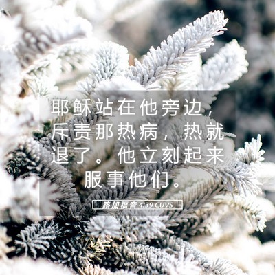 Picture 05 - 路 加 福 音 4:39 CUVS - 耶 稣 站 在 他 旁 边 ， 斥 责 那 热 - Bible Verse Picture