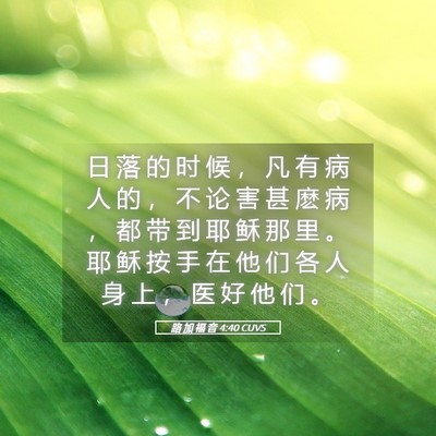 Picture 05 - 路 加 福 音 4:40 CUVS - 日 落 的 时 候 ， 凡 有 病 人 的 ， - Bible Verse Picture