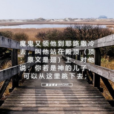 Picture 05 - 路 加 福 音 4:9 CUVS - 魔 鬼 又 领 他 到 耶 路 撒 冷 去 ， - Bible Verse Picture