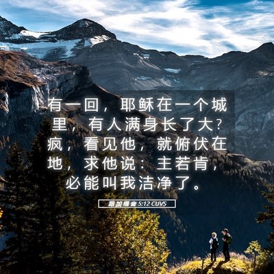 Picture 05 - 路 加 福 音 5:12 CUVS - 有 一 回 ， 耶 稣 在 一 个 城 里 ， - Bible Verse Picture