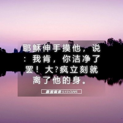 Picture 05 - 路 加 福 音 5:13 CUVS - 耶 稣 伸 手 摸 他 ， 说 ： 我 肯 ， - Bible Verse Picture