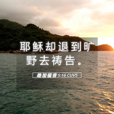 Picture 05 - 路 加 福 音 5:16 CUVS - 耶 稣 却 退 到 旷 野 去 祷 告 - Bible Verse Picture