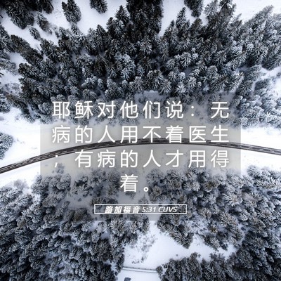 Picture 05 - 路 加 福 音 5:31 CUVS - 耶 稣 对 他 们 说 ： 无 病 的 人 用 - Bible Verse Picture