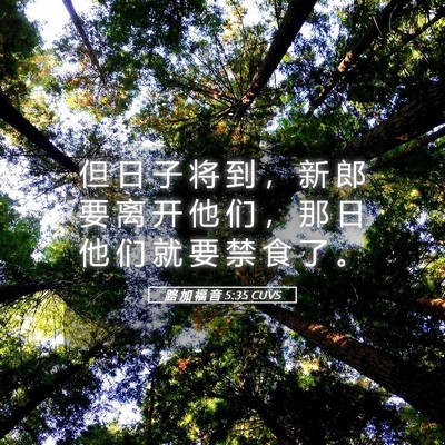 Picture 05 - 路 加 福 音 5:35 CUVS - 但 日 子 将 到 ， 新 郎 要 离 开 他 - Bible Verse Picture