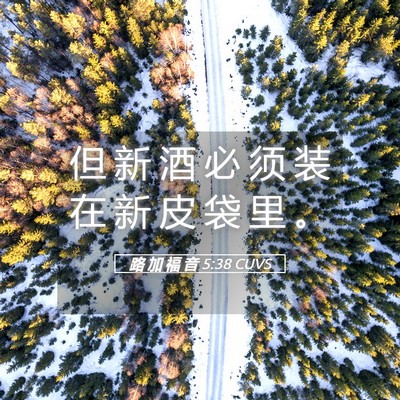Picture 05 - 路 加 福 音 5:38 CUVS - 但 新 酒 必 须 装 在 新 皮 袋 里 - Bible Verse Picture