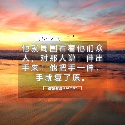Picture 05 - 路 加 福 音 6:10 CUVS - 他 就 周 围 看 着 他 们 众 人 ， 对 - Bible Verse Picture