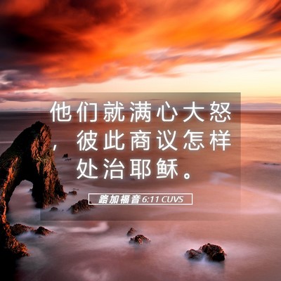 Picture 05 - 路 加 福 音 6:11 CUVS - 他 们 就 满 心 大 怒 ， 彼 此 商 议 - Bible Verse Picture