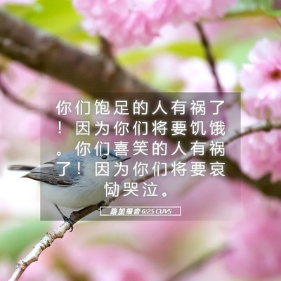 Picture 05 - 路 加 福 音 6:25 CUVS - 你 们 饱 足 的 人 有 祸 了 ！ 因 为 - Bible Verse Picture