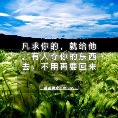 Picture 05 - 路 加 福 音 6:30 CUVS - 凡 求 你 的 ， 就 给 他 。 有 人 夺 - Bible Verse Picture
