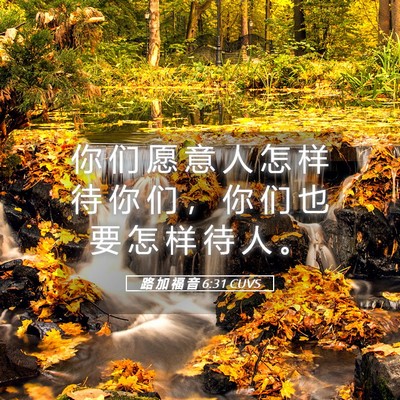 Picture 05 - 路 加 福 音 6:31 CUVS - 你 们 愿 意 人 怎 样 待 你 们 ， 你 - Bible Verse Picture
