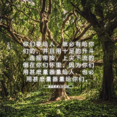 Picture 05 - 路 加 福 音 6:38 CUVS - 你 们 要 给 人 ， 就 必 有 给 你 们 - Bible Verse Picture