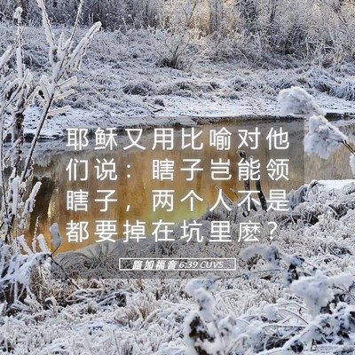 Picture 05 - 路 加 福 音 6:39 CUVS - 耶 稣 又 用 比 喻 对 他 们 说 ： 瞎 - Bible Verse Picture