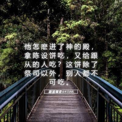 Picture 05 - 路 加 福 音 6:4 CUVS - 他 怎 麽 进 了 神 的 殿 ， 拿 陈 设 - Bible Verse Picture