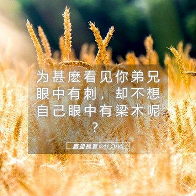 Picture 05 - 路 加 福 音 6:41 CUVS - 为 甚 麽 看 见 你 弟 兄 眼 中 有 刺 - Bible Verse Picture