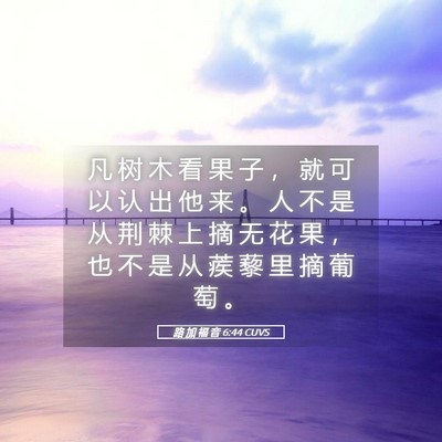 Picture 05 - 路 加 福 音 6:44 CUVS - 凡 树 木 看 果 子 ， 就 可 以 认 出 - Bible Verse Picture