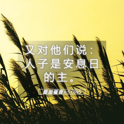 Picture 05 - 路 加 福 音 6:5 CUVS - 又 对 他 们 说 ： 人 子 是 安 息 日 - Bible Verse Picture