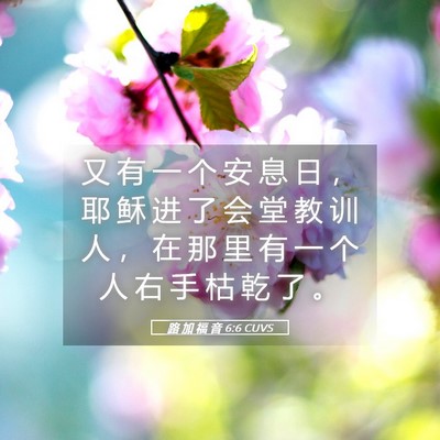 Picture 05 - 路 加 福 音 6:6 CUVS - 又 有 一 个 安 息 日 ， 耶 稣 进 了 - Bible Verse Picture