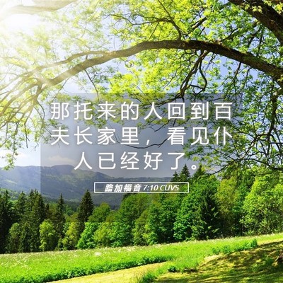 Picture 05 - 路 加 福 音 7:10 CUVS - 那 托 来 的 人 回 到 百 夫 长 家 里 - Bible Verse Picture