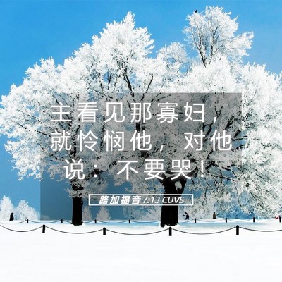 Picture 05 - 路 加 福 音 7:13 CUVS - 主 看 见 那 寡 妇 ， 就 怜 悯 他 ， - Bible Verse Picture
