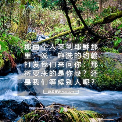 Picture 05 - 路 加 福 音 7:20 CUVS - 那 两 个 人 来 到 耶 稣 那 里 ， 说 - Bible Verse Picture