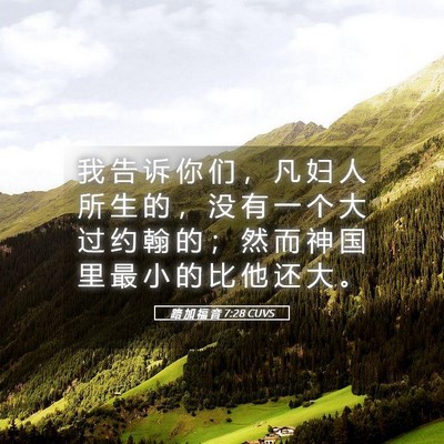 Picture 05 - 路 加 福 音 7:28 CUVS - 我 告 诉 你 们 ， 凡 妇 人 所 生 的 - Bible Verse Picture