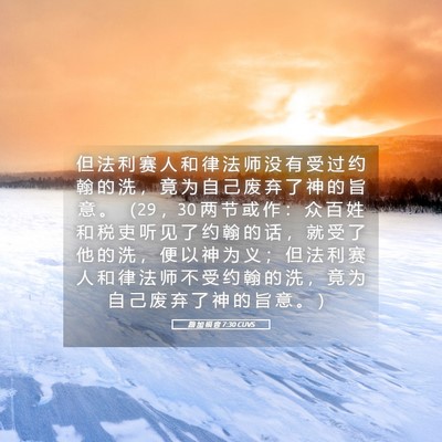 Picture 05 - 路 加 福 音 7:30 CUVS - 但 法 利 赛 人 和 律 法 师 没 有 受 - Bible Verse Picture