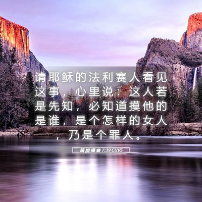 Picture 05 - 路 加 福 音 7:39 CUVS - 请 耶 稣 的 法 利 赛 人 看 见 这 事 - Bible Verse Picture