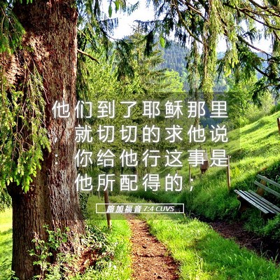 Picture 05 - 路 加 福 音 7:4 CUVS - 他 们 到 了 耶 稣 那 里 ， 就 切 切 - Bible Verse Picture