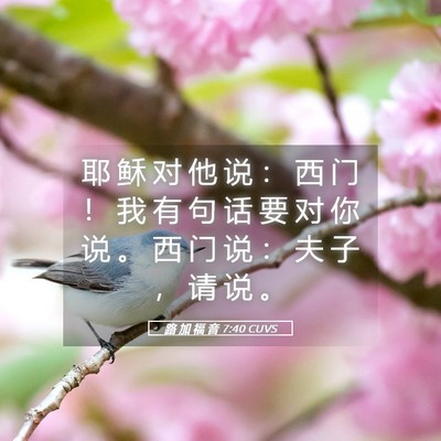 Picture 05 - 路 加 福 音 7:40 CUVS - 耶 稣 对 他 说 ： 西 门 ！ 我 有 句 - Bible Verse Picture