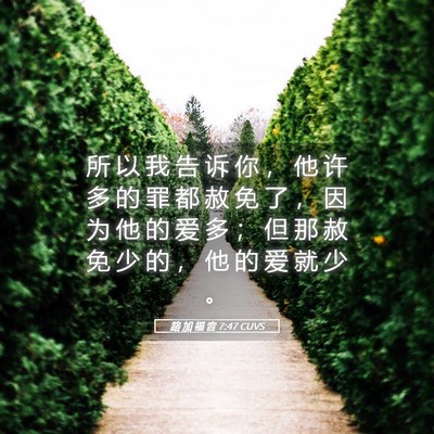 Picture 05 - 路 加 福 音 7:47 CUVS - 所 以 我 告 诉 你 ， 他 许 多 的 罪 - Bible Verse Picture